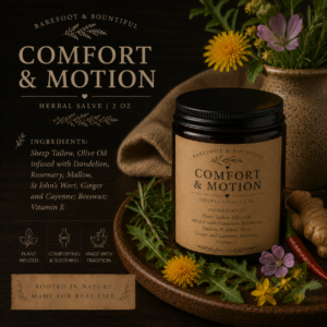 Comfort & Motion